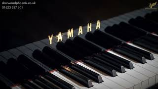 Yamaha C7 Black Grand Piano Silver Frame No 2023506 Comparison Demonstration  Sherwood Phoenix [upl. by Ob]