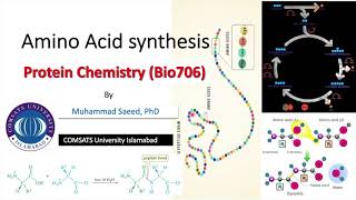 Amino acid synthesis1 citric acid cycle TCA biomimicking Reductive amp transamination Halo acids [upl. by Jestude]