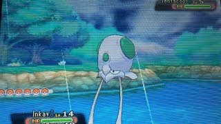 Shiny Tentacool on a chain of ONLY 7 Omega Ruby [upl. by Pope]