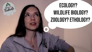 Which job is right for you Ecologist v Wildlife Biologist v Zoologist v Ethologist [upl. by Sorcim]