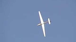 aerobatics in a MDM1FOX sailplane [upl. by Suryt]