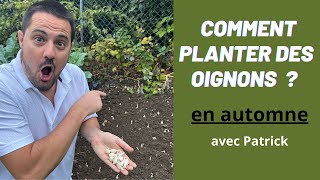 Comment Planter des Oignons Blanc au Potager  Guide Facile et Rapide [upl. by Fidelas]