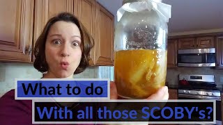 How to make a SCOBY Hotel [upl. by Fauch]