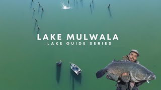 THE LAKE GUIDE SERIES  MULWALA MURRAY COD FISHING [upl. by Yelyah]