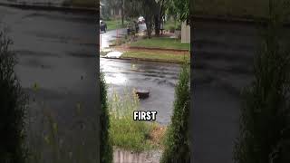 How Dangerous Are Manhole Covers ⚠️💥😯 [upl. by Popele]