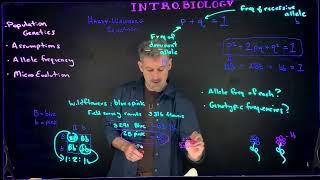 Hardy Weinberg Terms and Concepts [upl. by Mukul]