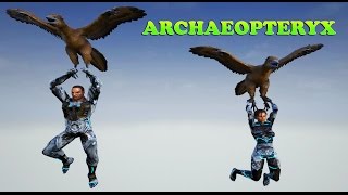 ARK Dev Kit  ARCHAEOPTERYX  The Parachute Dino [upl. by Annohsak]