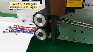 Electric Cable Cutting and Stripping Machine Wire Stripping Machine Cable Cross Section from 0 02mm [upl. by Nayab]