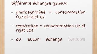 correction exercice de SVT photosynthèse chez les euglènes [upl. by Sana]