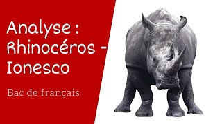 Rhinocéros de Ionesco Analyse [upl. by Yenahc1]