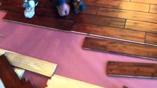 Example of how to nail down handscraped hardwood floors [upl. by Imehon]