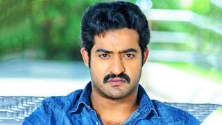 Dhammu l Jr NTR l Blockbuster Action Hindi Dubbed Movie l Trisha Krishnan Karthika Nair [upl. by Raman]