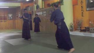 Katori Shinto 1° Kata Kenjutsu [upl. by Spada608]