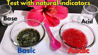 Acidbase test with natural indicators  litmus test  chemistry 🧪🧪 [upl. by Nastassia]