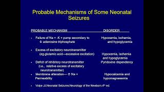 Neonatal Seizures DrAmjad Tarawneh Lecture Mutah University [upl. by Ahsenom496]