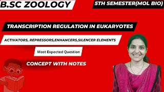 Transcription Regulation In eukaryotes Activators Silencer Enhancer repressors BSc 5th semester [upl. by Kohl103]