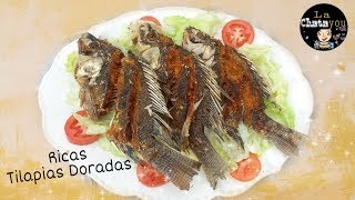 Pescado Tilapias dorados en la disca Lachatayou [upl. by Eaned]