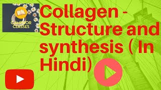 Biochemistry Collagen structure and synthesis HINDI [upl. by Tacy]