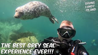 THE BEST GREY SEAL EXPERIENCE  Diving Lundy Island UK [upl. by Tessler958]