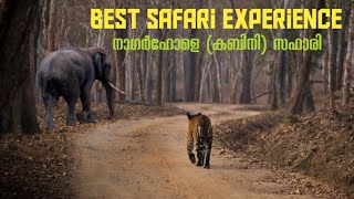 Kabini Safari  Nagarhole Tiger Reserve Karnataka [upl. by Aztiley]