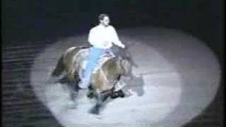 Freestyle Reining Bridleless [upl. by Annyl450]