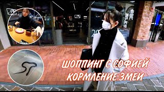 Неделя влоговВторникKOREA VLOG [upl. by Maddock756]