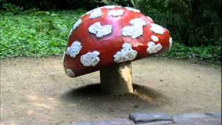 Sprookjesbos Paddenstoelen Efteling Muziek [upl. by Ydnirb63]