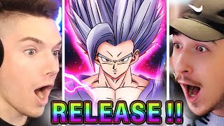 We got EVERY ANIMATION for LR Beast Gohan Dual Summon Battle vs Nanogenix in Dokkan 9th Anniversary [upl. by Kcirrek]