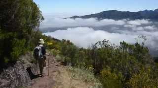 MADEIRA LEVADA WALKS [upl. by Otrebmuh]