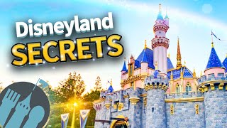 Secrets and Tips for Disneyland [upl. by Aseela]