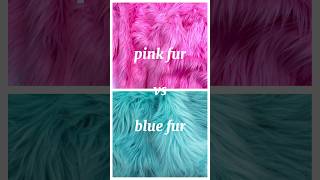 pink fur vs blue fur which ones prettier tag you fav🩷🩵 [upl. by Rapp479]