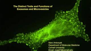 The distinct traits and functions of exosomes and microvesicles [upl. by Llain]