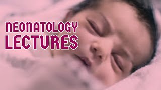 NEONATOLOGY lecture 7 JAUNDICE NEONATORUM unconjugated hyperbilirubinemia in detail [upl. by Tess112]