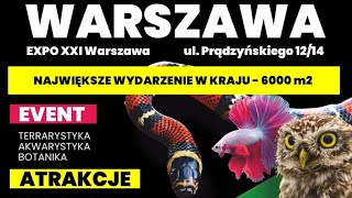 Akwarystyka na wydarzeniu quot egzotyczne zwierzęta quot 2909 Warszawa [upl. by Krys]