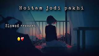 Hoitam jodi pakhi ami lofi bangla 🎧 song ❤️‍🩹🙂‍↔️slowed reverb viralvideo lofi [upl. by Eiroj]