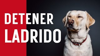 Sonido para detener el ladrido de los perros No compatible con iPhone [upl. by Amat]