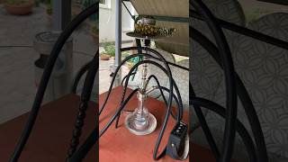 6 Unique hookah experience pineapple [upl. by Nomae]