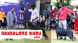 WOW 😍  Rottweiler Dog Show  Bangalore Canine Club amp Silicon City Kennel Club 2022 [upl. by Tish]