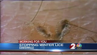 Stopping winter head lice [upl. by Bunow]