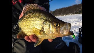 Northern Wisconsin Crappies  InDepth Outdoors Season 12 Episode 8 [upl. by Kutchins]