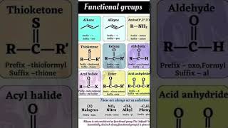 Functional groups General organic chemistry ytshorts viralncert neet XI chemistry trending [upl. by Safir]