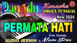 PERMATA HATI  Karaoke Nada Pria Evie Tamala  Dangdut Orgen Tunggal  Audio Jernih [upl. by Iarahs]