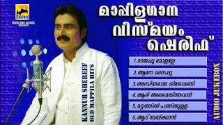 Mappila Pattukal Old Is Gold  Mappilagaana Vismayam Kannur Shareef  Malayalam Mappila Songs [upl. by Irrot208]