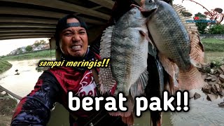 Mancing ikan nila besar ‼️Beratnya sampai meringis angkatnya‼️ [upl. by Pollock]