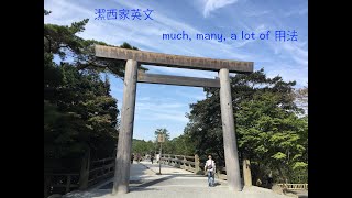 【潔西家】劍橋活用英語文法 初級 84 a lot much many 講解講義 [upl. by Nohsad]