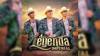 ZAPATEADOS EN VIVO TRIO LEYENDA IMPERIAL DAR [upl. by Llerrej]