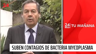 Suben contagios con bacteria mycoplasma qué es síntomas y cómo puede generar neumonía  24 Horas [upl. by Claribel]