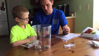 Setting Up Our Milkweed Bug Habitat Terrarium [upl. by Sidoon]