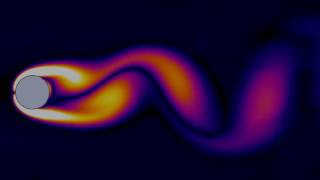 Von Karman vortex street laminar Vorticity Re  100 [upl. by Delgado]