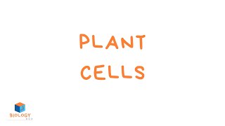 Plant Cell Structure KS3 parts of a plant cell [upl. by Nytsirc]